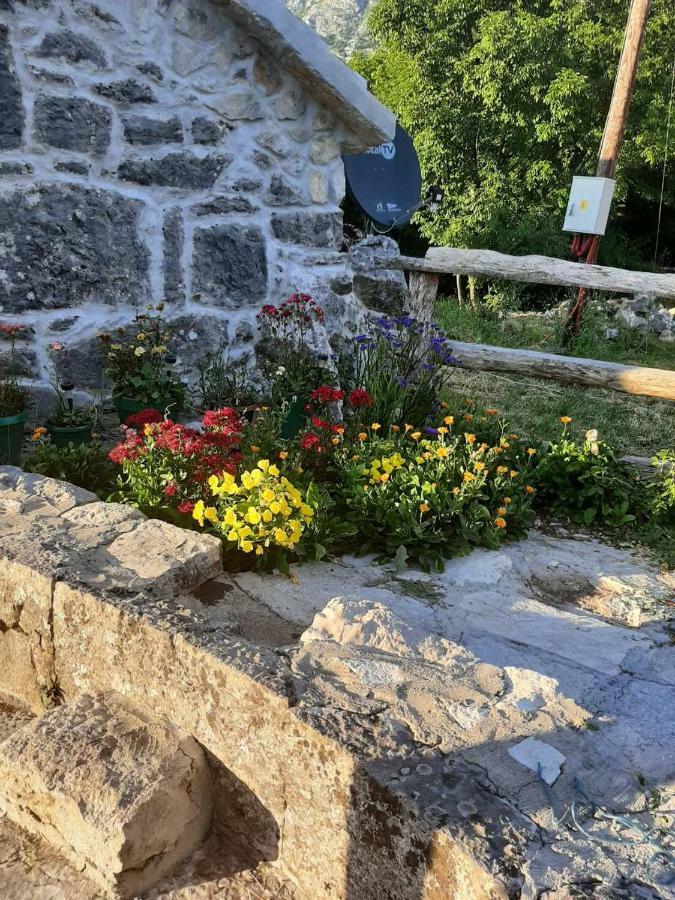 Ethno House Kosic Villa Herceg Novi Dış mekan fotoğraf